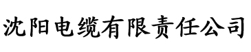 亚洲欧美一区二区三电缆厂logo